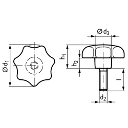 Sterngriffschrauben GV ähnlich DIN 6336 aus Thermoplast, Technische Zeichnung